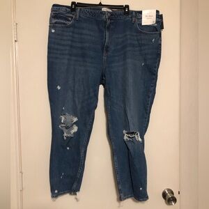 Abercrombie and Fitch Curve Love The Mom High Rise Jeans